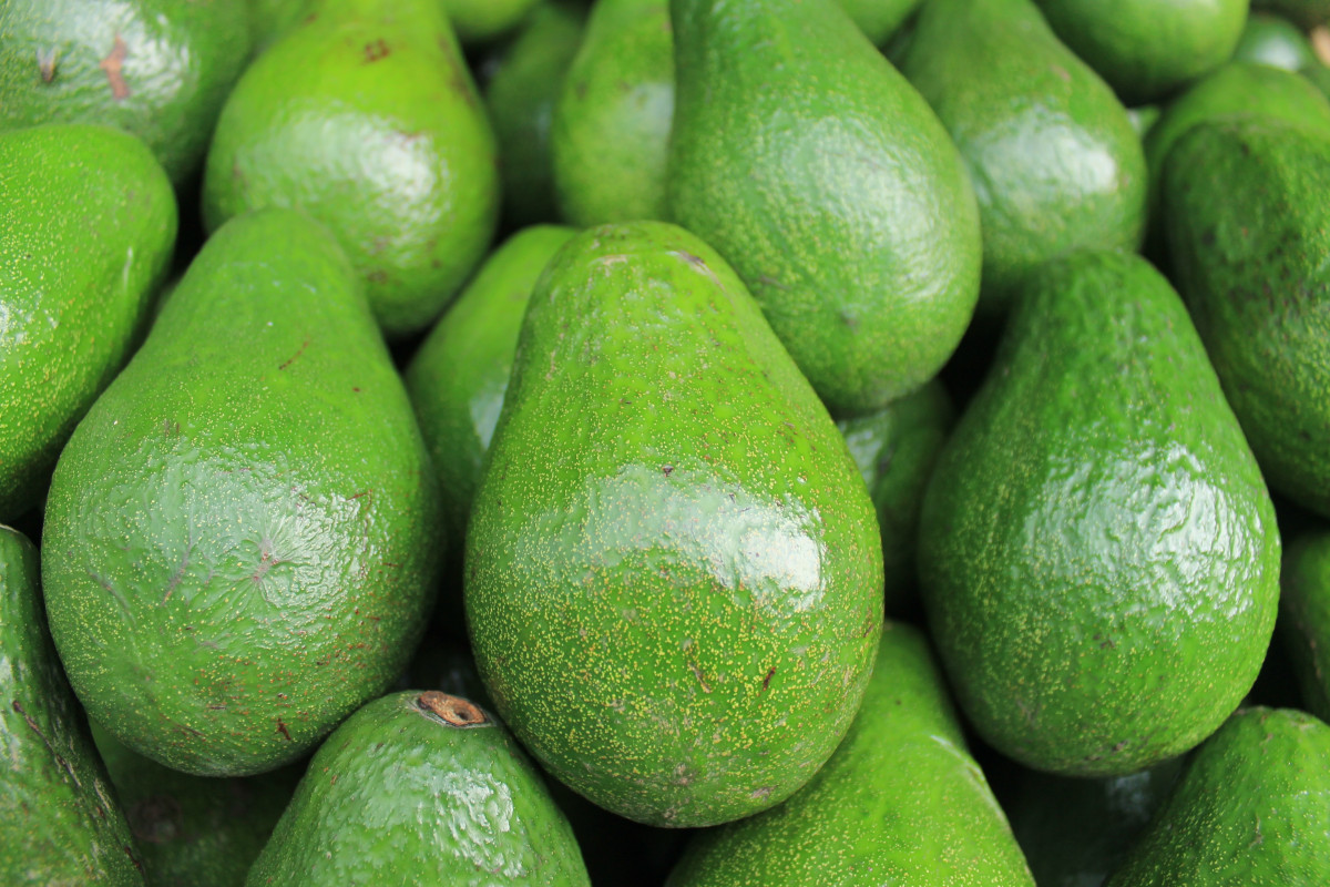 Imagen del producto Aguacate